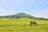 【酷暑から脱出せよ！】夏休みはここが狙い目「絶景の避暑地キャンプ場」教えます【絶景キャンプ場ガイド-言葉を失うほどの風景に会いに行こう- vol.23】の画像003