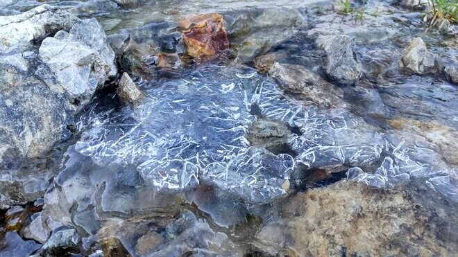 山の上は別世界「もう凍ったの！？ 稜線上は早くも秋の気配が漂う」高い山への登山は防寒対策を入念に！ 2022年・白馬岳の画像002