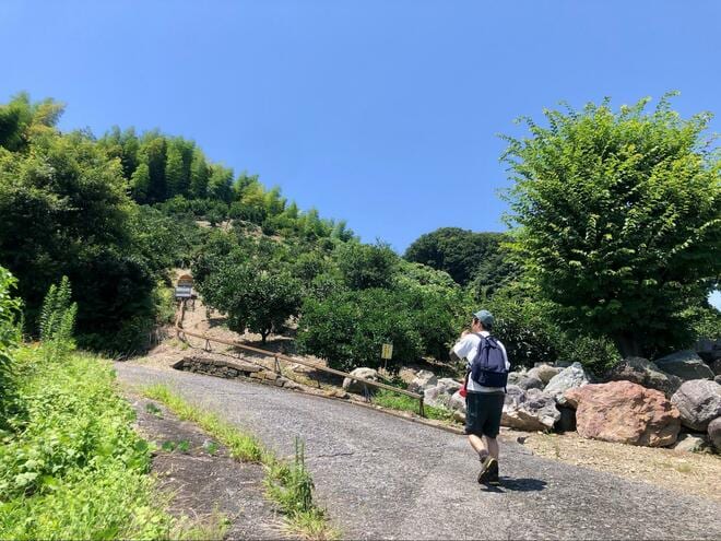 【熱中症対策】水分・塩分補給＆ハンディファンとの併用もできる「ネックアイシング」 夏キャンやフェスで役立つ “体を冷やす” 方法の画像006