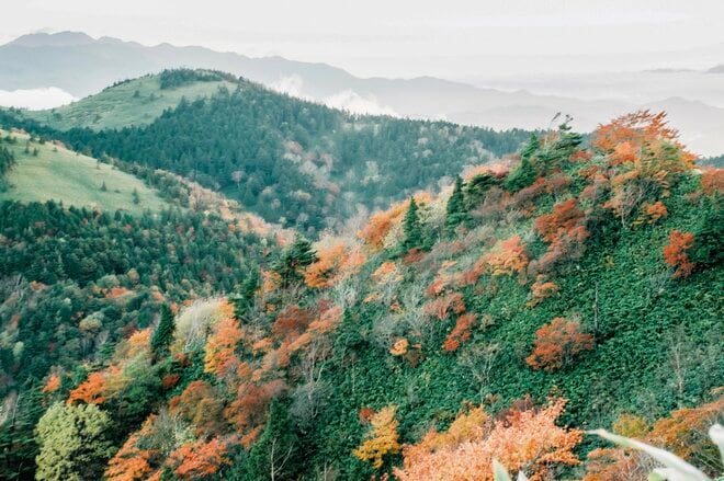 【日本百名山】感動しっぱなし！ 百聞は一見にしかず！ 紅葉の恵那山へ《長野県・岐阜県》2022年の画像005