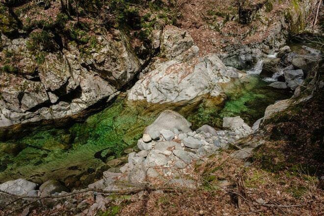 【渓流釣り】想像以上の減水でシビアな反応「重箱の隅をつつくように誘って、ようやく引っ張り出した奥飛騨のイワナ」  岐阜県｜2026年の画像001