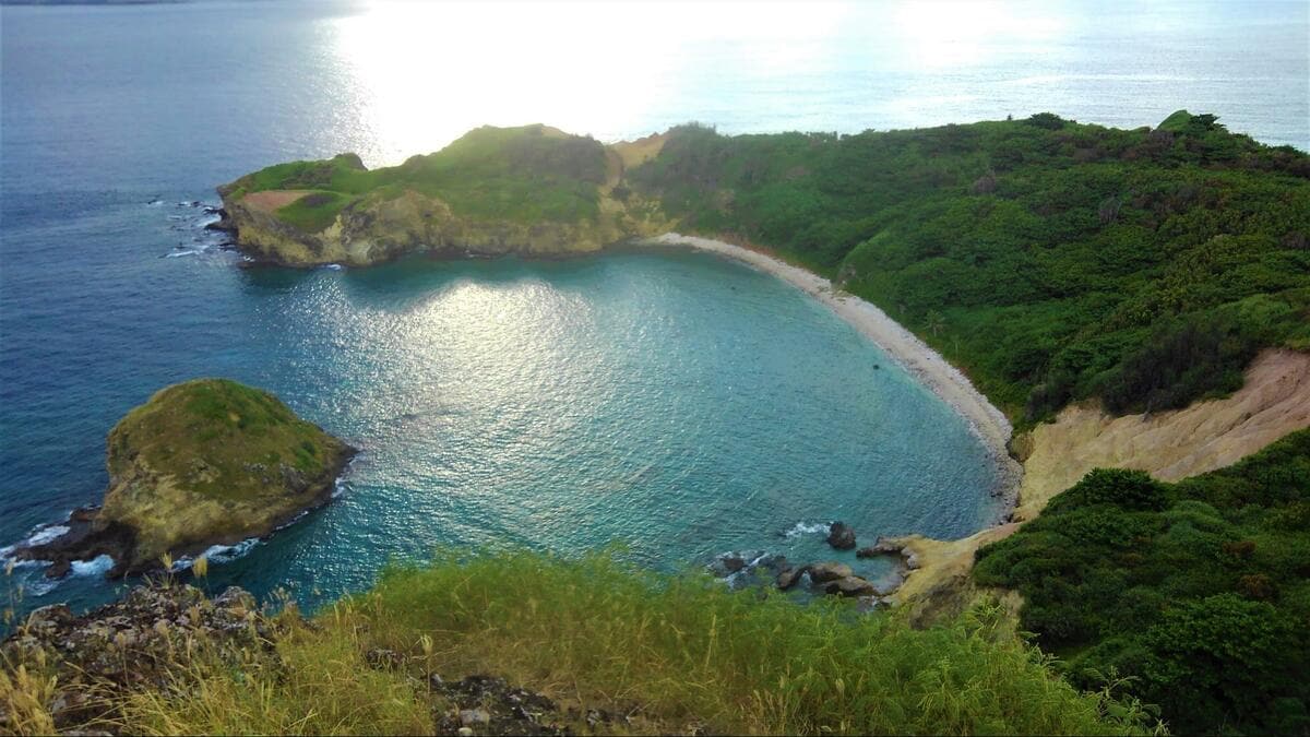 悠久の青い海「ボニンブルー」ユネスコ世界自然遺産の小笠原諸島・母島で希少種に出会える散策ルート【現地レポート】｜概要｜トラベル｜ニュース｜BRAVO  MOUNTAIN