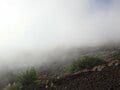 【10月でも登れる富士山】宝永山へ。閉山後も楽しめる “富士山らしい” 登山の画像008