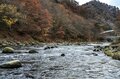 【紅葉流れる渓谷美】「箒川キャッチ＆リリースエリア」で紅に染まるニジマスを狙う！ 2022年《栃木県》の画像011