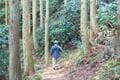 歴史を刻む峠道でハイキング！ 宇津谷峠に残る「蔦の細道」&「東海道」めぐる1時間！ 平安の歌碑、戦国の面影、明治レトロ建造物「現地レポ」の画像009