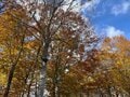 今週末の紅葉見るならどこ？ 名所＆人気スポットから最新情報をお届け「WEEKLY紅葉ニュース」【2023年10月第4週】の画像004