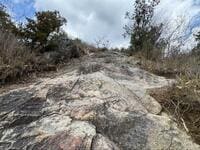 播磨の「アルプス」＆「富士」と呼ばれる人気低山「高御位山」！  岩場が連続する絶景の稜線から、ファミリーコースで下山！  登山レポート　