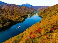 一面が紅葉に包まれた絶景「奥只見湖」の遊覧船体験！  まさにこれからが紅葉の盛り【新潟県魚沼市】
