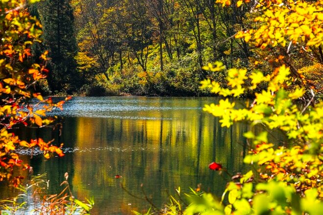 【登山】紅葉の当たり年！ 「白池に映る秋の彩りと山々の絶景を楽しむ、戸倉山の古道歩き」 “塩の道”   新潟県・2025年の画像005