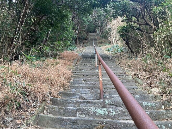 【冬こそ行きたい「伊豆の山」】稜線や断崖の絶景が楽しめる山5選！「天城山・達磨山・金冠山・高通山・烏帽子山」レポートの画像009