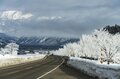 雪の花咲く絶景！  霧氷と川霧のつくり出す「儚くも美しい」幻想の世界にうっとり！【2022年2月・長野県白馬村】の画像001