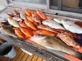 すべてが自由になる釣り「カヤックフィッシング」のはじめ方！ 「時間と場所とターゲット」自在の魅力と「必須ギアと注意ポイント」解説の画像001