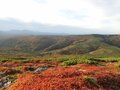 「紅葉の大雪山から十勝連峰の山々を一日で」トレランスタイルで駆け抜ける！ 北海道最長縦走路の全貌 【前編】の画像007