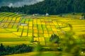 【絶景】“夏と秋の狭間、山里の美景”  田園パッチワークの眺めが見事！ 「山本山」 新潟県小千谷市｜2026年の画像004