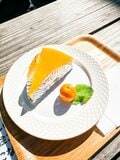 【紅葉登山】スッキリ青空！  紅葉と水面が描く絶景のコントラストに “雲海” の演出が素敵な「白駒池」 長野県北八ヶ岳・2024年の画像008