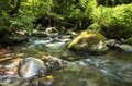 【渓流釣り】 夏と秋の狭間で揺れ動く季節 「薮濃き “ボサ川” で狙うイワナ」  長野県・北信エリア 2024年の画像003