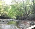 山中に広がる癒やしの空間「鈴鹿の上高地」での「頂上を目指さない登山」異次元の魅力！の画像001