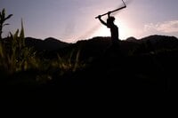 「半農半X」のライフスタイルって実際どうですか？＜前編＞【耕して、焙煎して、走る男　人口2,800人の村に移住してみました vol.6】