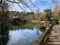 あこがれの街「吉祥寺」の2大アウトドアスポット！  井の頭恩賜公園「井の頭弁財天」&「武蔵野八幡宮」  歴史と自然の「2.7kmウォーキング」