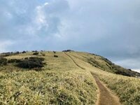 【冬こそ行きたい「伊豆の山」】稜線や断崖の絶景が楽しめる山5選！「天城山・達磨山・金冠山・高通山・烏帽子山」レポート