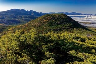 【この秋、絶対！ 八ヶ岳】第7回「縞枯山」 縞枯模様と苔の森を歩く不思議な山