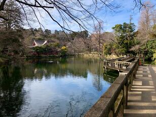 あこがれの街「吉祥寺」の2大アウトドアスポット！  井の頭恩賜公園「井の頭弁財天」&「武蔵野八幡宮」  歴史と自然の「2.7kmウォーキング」