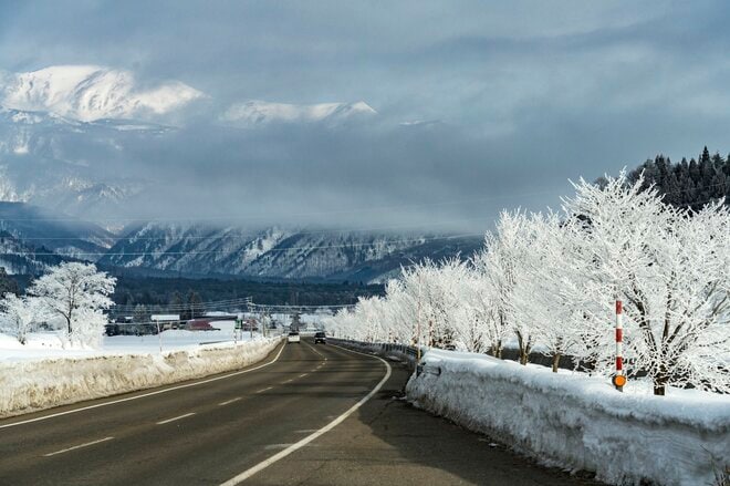 雪の花咲く絶景！  霧氷と川霧のつくり出す「儚くも美しい」幻想の世界にうっとり！【2022年2月・長野県白馬村】の画像001