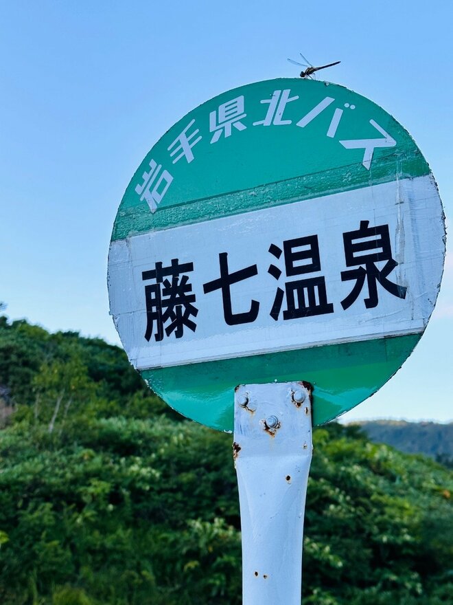 「8月は北の高原へ」 広大な森と変化に富む湿原を気持ちよく歩く＜日本百名山・八幡平＞【月めくりの低山カレンダー #08】の画像006