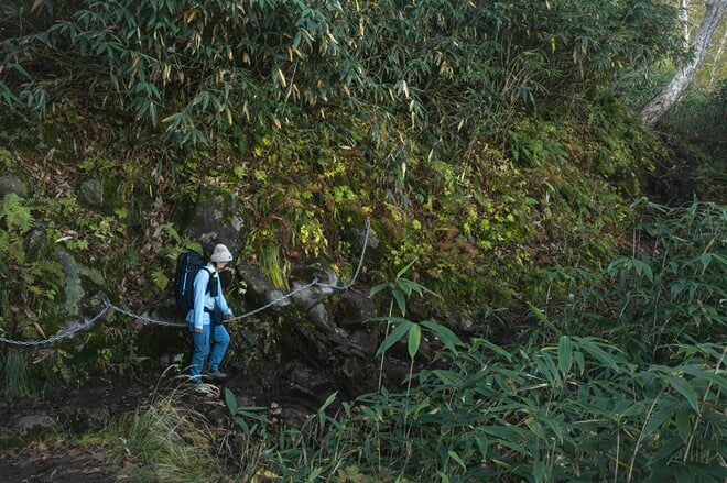 【登山】そこは、まるで天上の楽園！  “秋空を映す水鏡、黄金色の高層湿原になだらかに続く木道”  彩り鮮やかな原生林「苗場山」 長野県｜新潟県 2026年の画像004