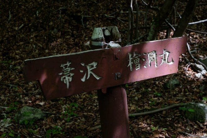 【首都圏近郊ハイキング】5月でもまだ花見ができる山「西丹沢・檜洞丸」への画像001