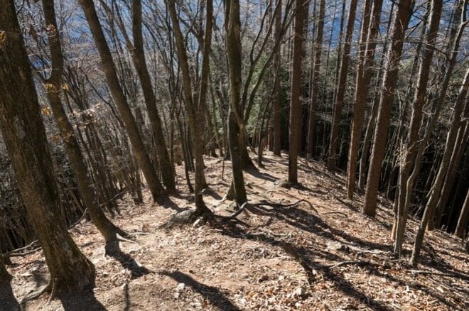 【首都圏近郊】冬にこそ歩くべき奥多摩三大急登「六ツ石山」の魅力の画像004