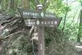 バラエティ豊かな登山コース「棒ノ折山」夏こそ行きたい “涼感” の魅力！ 「木漏れ日の樹林帯・Vの字谷・沢沿い歩き」＆絶景の「山頂広場」レポの画像009