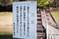 【今年の紅葉は「ここ数年で一番」の当たり年！】＜東京都の最深部へのおすすめドライブコース＞奥多摩エリアの紅葉は「今がピーク」の画像002