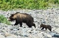 【クマだけじゃない】豪雨・崩落で相次ぐ登山道規制「この夏、歩ける山」と「注意が必要な山」の画像006