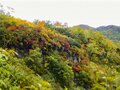 【日本百名山】「紅葉のピーク直前！ 温泉と絶景登山を楽しむ」名峰・妙高山へ 2022年・新潟県の画像002