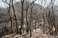 【保険料は歩いた分だけ】まったく「新しい発想のお得な登山保険」が発売開始