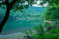 魅力はずばり秘境感！  玄人キャンパーが通い続けるという「四尾連湖」に行ってきました【缶詰博士の缶たん”CAN”P料理 vol.67】