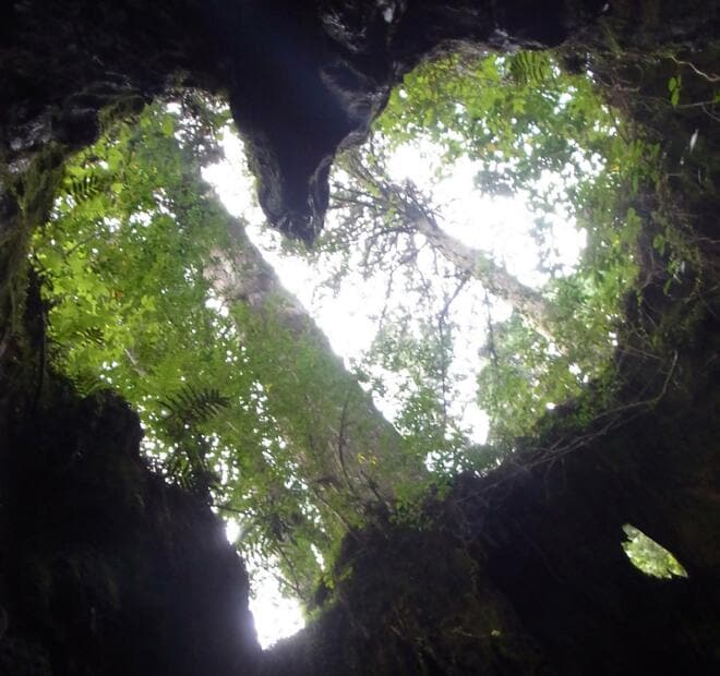一度は行きたい！ 世界遺産「屋久島」 じっくり満喫できる、ガイド付きツアーで参加してみた！  縄文杉・白谷雲水峡・島内テント泊の神秘「現地レポ」の画像006