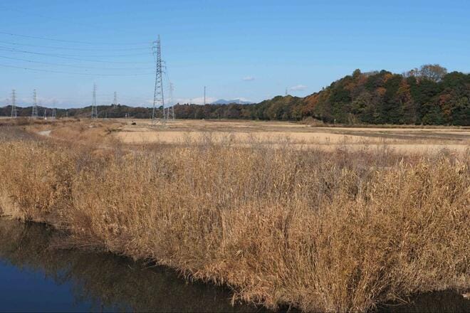 冬は “謎解きゲーム感覚” の「寒ブナ釣り」が面白い！  小水路の突き当りで発見「越冬ポイント」での結果は！？  4時間「釣行レポ」【茨城県・牛久沼】の画像012