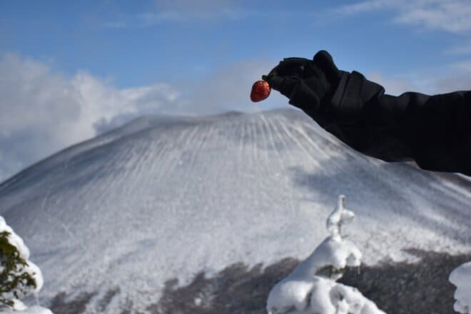 【ハイカー女子の一杯】スノーハイクを黒斑山、蛇骨岳で楽しもう！ 「まるでガトーショコラのような浅間山」 “2杯目”   長野県・群馬県、2025年の画像006