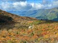 今週末の紅葉見るならどこ？  名所＆人気スポットから最新情報をお届け「WEEKLY紅葉ニュース」【2023年10月第2週】の画像002