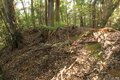 そそり立つ切岸が行く手を阻む。山陰の知られざる名城  石見国・周布城〈前編〉（島根県浜田市）【戦国の山城を攻める vol.01】の画像017