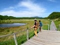 【夏山登山】夏空の下、風に揺られる高山植物の女王「コマクサ」に会いに行く！  2024年の画像004