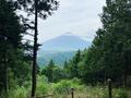 秋冬に間違いない「富士山」絶景の山！  東京からのアクセス1時間半「杓子山」レポ！  駐車OK「不動湯」から「天空の鐘」山頂への画像003