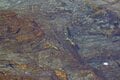 アユは「怒らせて掛ける」魚だった！  ルアーを追わせて釣りあげる「アユイング」のオリジナリティ＆おもしろさを知るの画像001