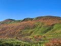 東北の紅葉なら一番おすすめしたい「焼石岳」で出会った錦秋の絶景【日本で山登りはじめました vol.9】の画像002