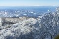 「ブナの森に咲く雪の花」が美しすぎるとSNSで話題！  標高差789ｍを最新型ゴンドラで「霧氷の世界」へ！  信州・野沢温泉スキー場【2021・初冬】の画像003