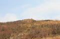 秘境！ 絶景！ ここだけは行きたい！【紅葉の山歩き ベスト3】西日本編「高島トレイル・石鎚山・九重連山」の画像001