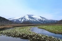 水芭蕉の見ごろ「渋滞する尾瀬」でのマナー「絶景シェア」のための「みんなのNG」とは？「赤面」体験レポ