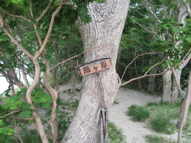 南アルプスの山の上で常夏気分！？  真っ白な砂浜が広がる「日向山」はまるで“天空のビーチ”【山梨県北杜市】の画像007